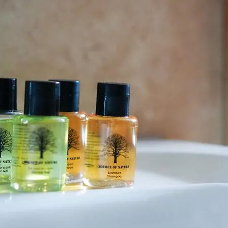 U Doroty, - Twoje Miejsce W Gorach * ザコパネ